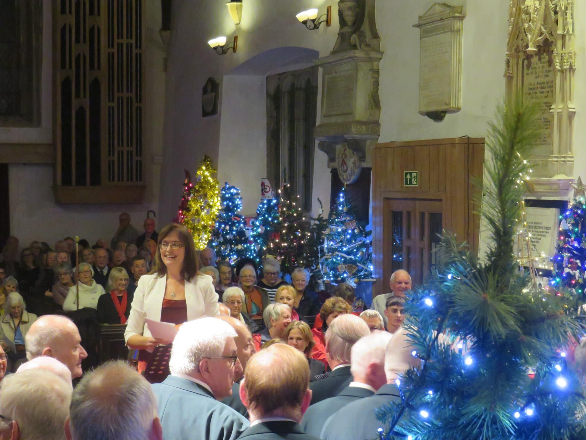 Christmas Tree festival